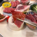 &lt;오창 오랜 참치 맛집&gt; 하나미 후기!