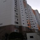 하단동211 이미지