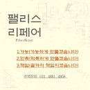 엠타워(아리스타팰리스 1차) | 건물상가 사무실 실내 바닥타일 스크래치 복원수리 업체