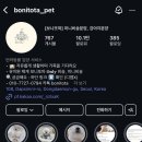 보니또따 이미지