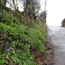 순천생태마을 이미지