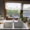 유우스테이 이미지