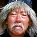 반려견 셀프미용 이미지