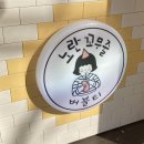 노란꼬무줄 이미지