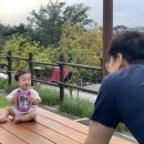 달서별빛캠프 캠핑장(오토캠핑장) 이미지