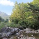 고향펜션캠핑 이미지