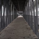 허궁다리 이미지