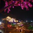 동화나라 애견 이미지