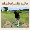 데니스골프 | 버디프로 UV차단 Y존트임 몸매보정 골프스타킹