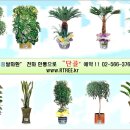 알트리 - 광명시 광명로 432 | 알트리