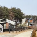 배때기네하우스 이미지