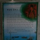 신무농장 | 니로시승후기/niro 타고 순천에서 완도까지