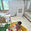 (주)위드 | 북위드플레이 내돈내산 후기