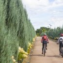 안성시 관광지원센터 이미지