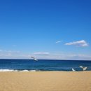 증산~삼척해변 이미지