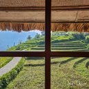 스틸하우스 | 토파스 에코로지 스틸하우스 후기 이그제큐티브룸 조식부터 저녁식사까지 솔직리뷰