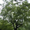 남장사약수터 | 상주여행, 천년고찰 남장사