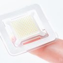 (주)바이오메드 | (2월 25일) 경구제부터 CRISPR·LNP까지…‘지중해빈혈’ 치료, 플랫폼 경쟁 확산