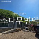 바람소리민박 | 밀양 촌캉스 펜션 추천｜불멍·고기·여유 다 되는 밀양 소나무민박 후기