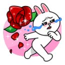 퍼피홀릭 제주 이미지