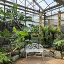 민들레 지역아동센터 이미지