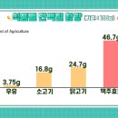 청춘맥주 이미지