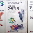 새하늘나라