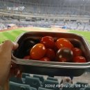 토마토김밥고척 | 일상·야구 직관) 4월 24일 금요일 프로야구 삼성 vs 키움 <고척스카이돔> 직관 후기