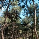 늠내길5코스 정왕둘레길 이미지