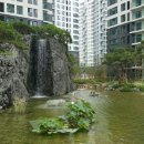 서초대표공인중개사사무소 이미지