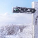 태백산로 | 대설주의보 강풍주의보 속 태백산 유일사 등산코스