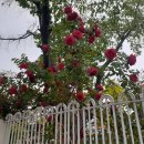 농성초등학교 이미지