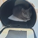 묘랑묘랑 일산점 이미지