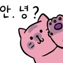 한복문화협동조합연합회 이미지