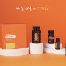 도테라코리아(유) 이미지