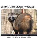 멍멍이뻐질고양 | 인생이란...무엇인가...