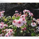 남원읍-1 이미지