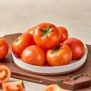 토마토2 이미지