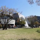 아난티CC 이미지