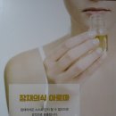 가자숲으로 이미지