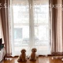 제주도게스트하우스 협재정류장 이미지