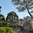 알찬손만두 | [서울 종로] 자하손만두 :: 부암동 알찬 속재료 손맛 제대로인 미슐랭 만두 맛집 후기 | 인왕산 등산 후...