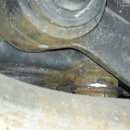 진호카클리닉 이미지