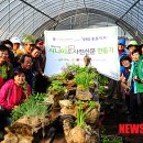 김영자농장 이미지