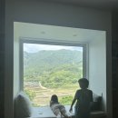 스테이외송 이미지