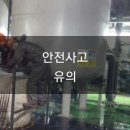 순천-04호 네이버블로그