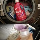 제일밝은세탁 이미지