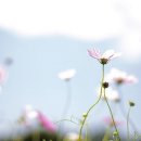 너를 만나다 이미지