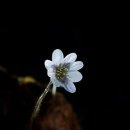 보덕사길 이미지