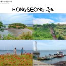 충청남도의 제주도 《홍성 죽도》 여름휴가 여행지 추천